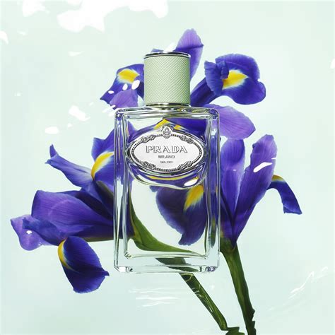 prada iris macy& 39|Prada iris fragrance.